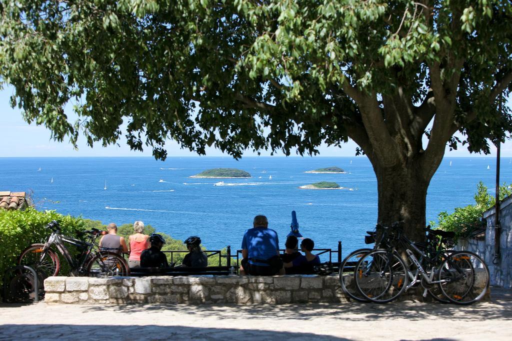 Apartmani Juric Vrsar Buitenkant foto